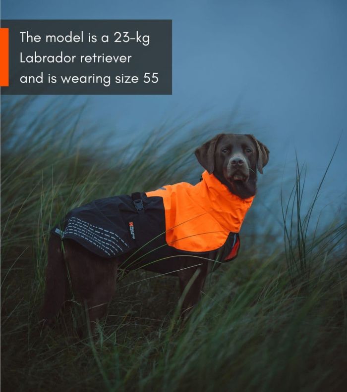 Дощовик для собак Fjord raincoat Non-stop dogwear Чорний/Помаранчевий 33