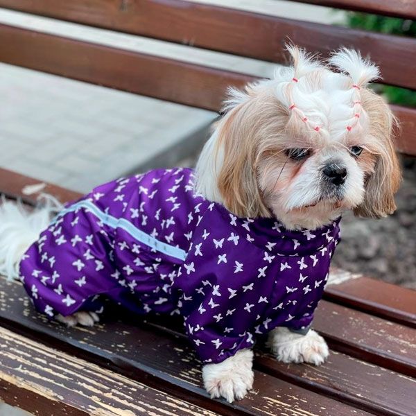 Комбінезон Лялечка на тонкій підкладці (дівчинка) S1