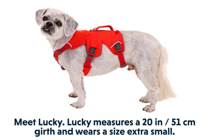 Підтримуюча шлейка для службових собак Ruffwear Web Master™ M 69-81 см Червоний