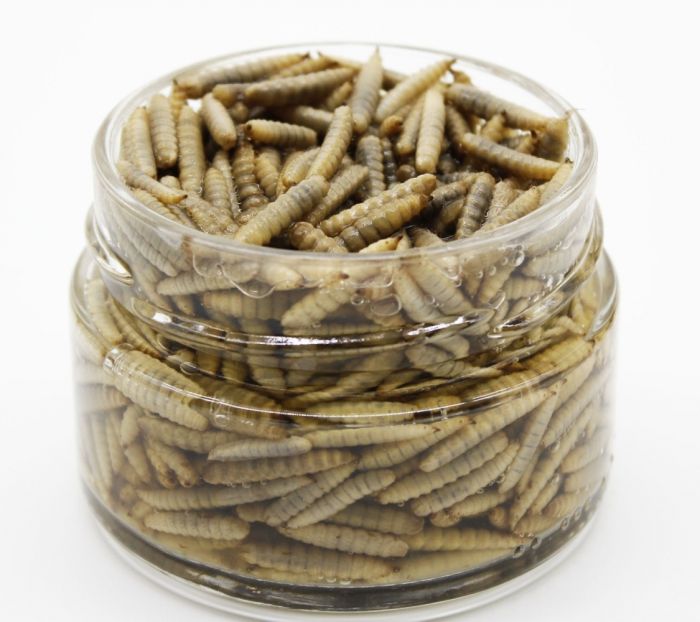 Корм Flipper Консервований борошняний червяк, 100 г 