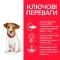 Hills (Хіллс) SP Puppy Small  Miniature з куркою - сухий корм для цуценят дрібних порід 3 кг