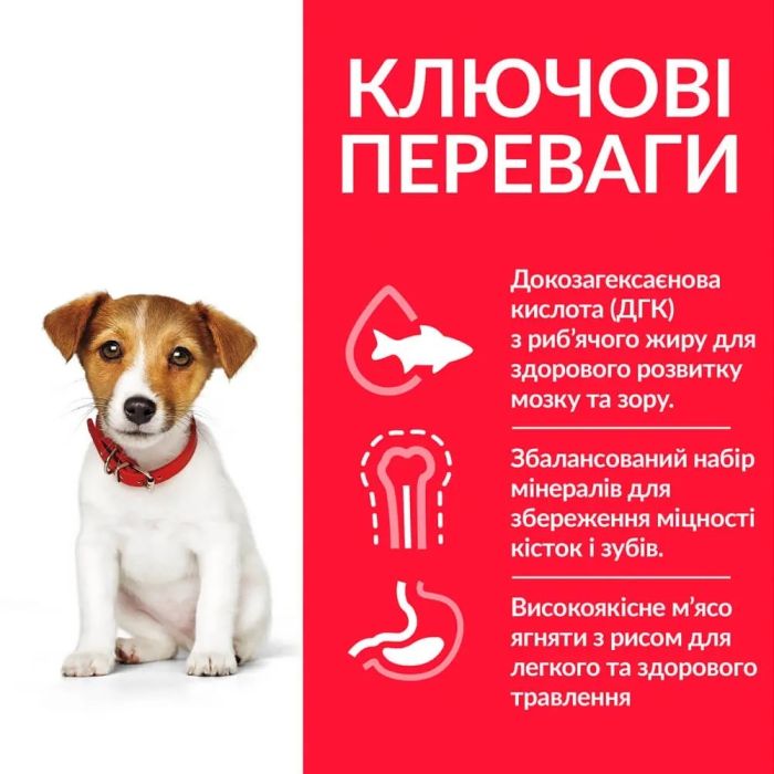 Hills (Хіллс) SP Puppy Small  Miniature з куркою - сухий корм для цуценят дрібних порід 3 кг