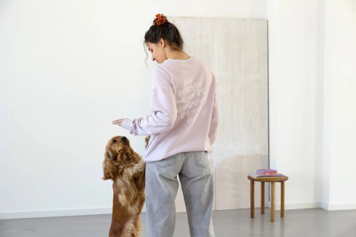 Світшот для власників собак Palopa Рожевий XL