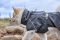Дощовик для собак Hurtta Mudventure Coat ECO 35 Сірий