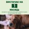 Бамбукові серветки для очищення слізних доріжок собак Beco Pets Dog Eye Wipes 70 шт.