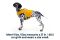 Рятувальний жилет для собак Ruffwear Float Coat™ XL Помаранчевий