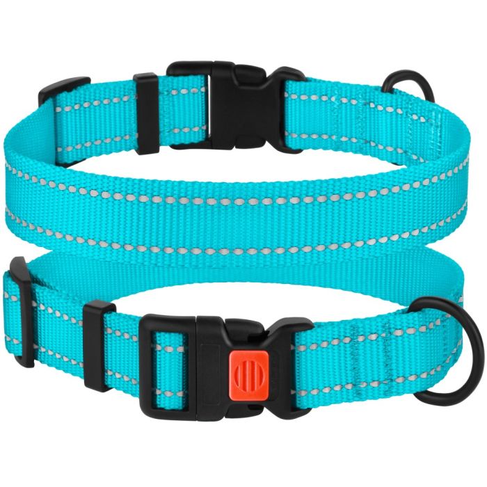 Нашийник для собак BronzeDog Блакитний пластиковий фастекс 1222 50Т 20мм (30-40см )