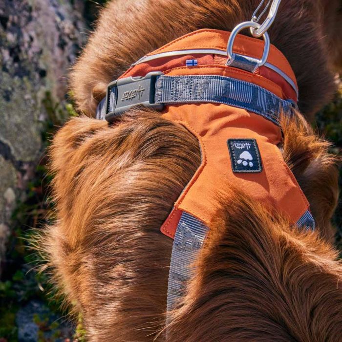Шлейка для великих порід собак Hurtta Rover Harness Помаранчевий 55-70