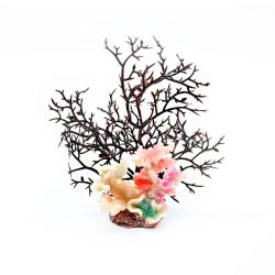 Корал, 16х8х18 см 