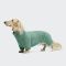 Светр для такс і схожих порід собак Cloud7 Cornwall Dachshund Зелений 1