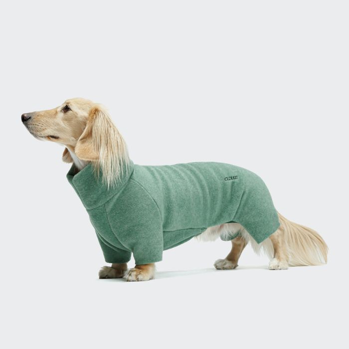 Светр для такс і схожих порід собак Cloud7 Cornwall Dachshund Зелений 1