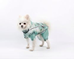 Набір Водолій жилет силікон + комбінезон велсофт (хлопчик) XS