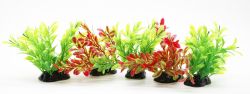 Набір рослин для акваріума, 5 шт (6510 см)