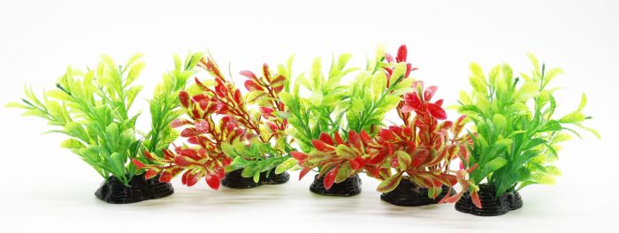 Набір рослин для акваріума, 5 шт (6510 см)