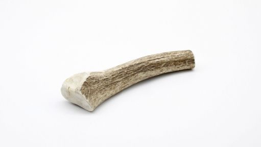 Ріг оленя Lucky dogs Мякий. M 22-25 см.