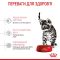 АКЦІЯ Royal Canin KITTEN STERILISED для стерилізованих кошенят набір корму 2 кг + 4 паучі 