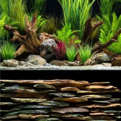 Фон для акваріума двосторонній 46 х 91 см 