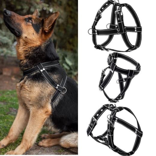 Шлея економ капрон одинарна 25 мм Фауна 255901-1 чорна 