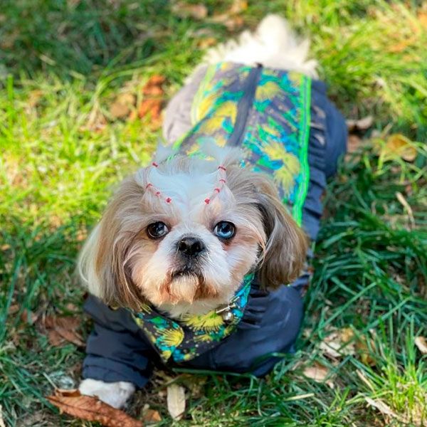 Комбінезон Грейсі велсофт (дівчинка) XS