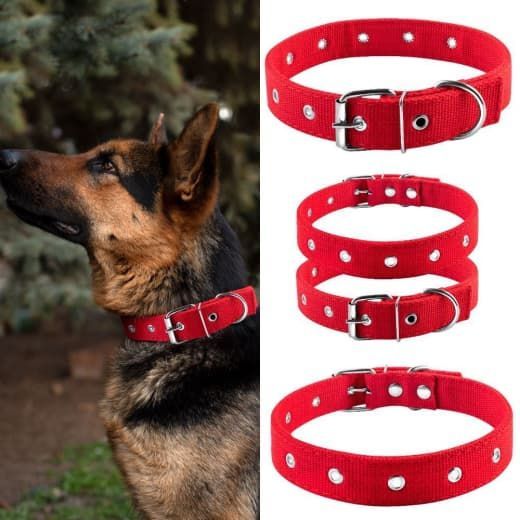Нашийник економ брезент подвійний безрозмірний червоний 11-43 см