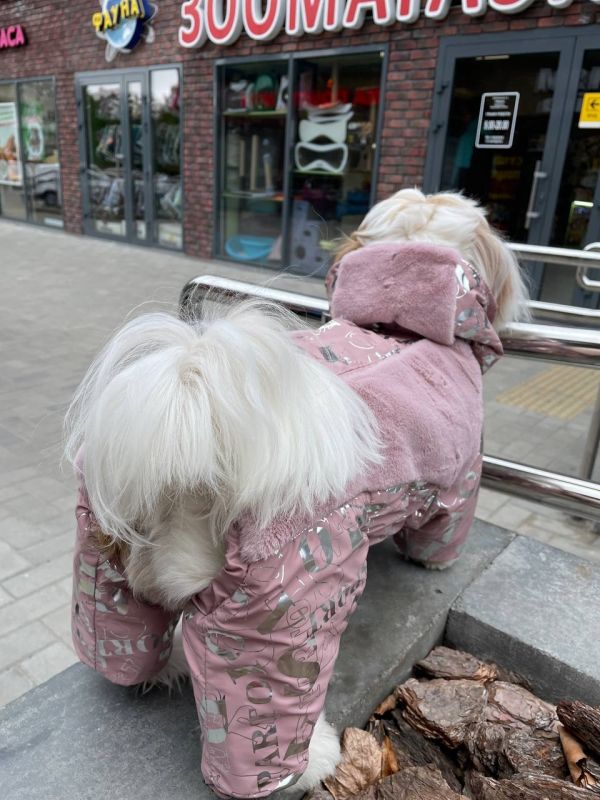 Дайкірі комбінезон для собак дівчаток на силіконі S2