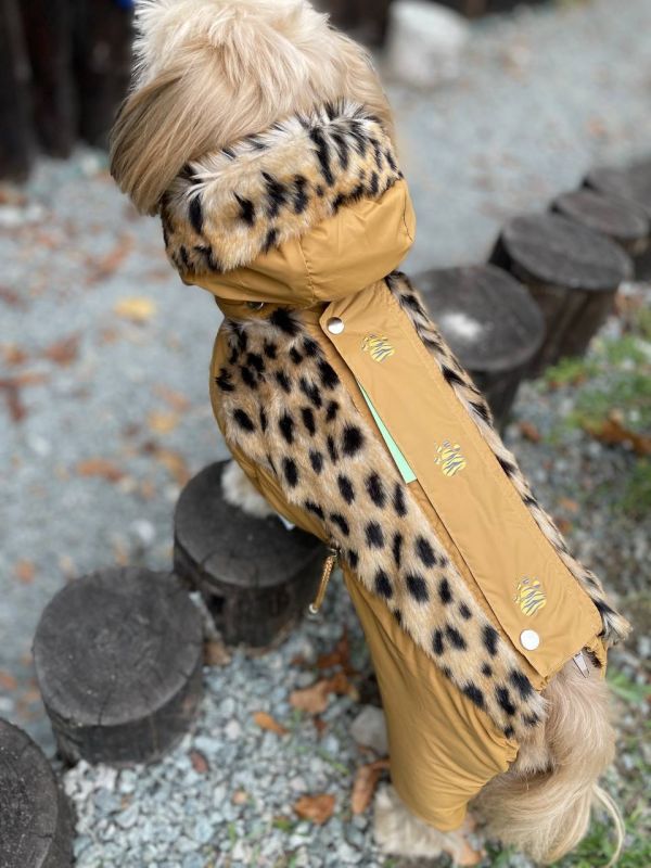 Лео комбінезон для собак хлопчиків на силіконі S2 пінчер