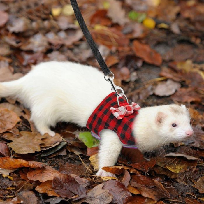 Шлея майка з повідцем комплект для гризунів ХБ 130 см XS 710см