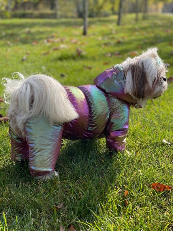 Комбінезон Медея на силіконі (дівчинка) S