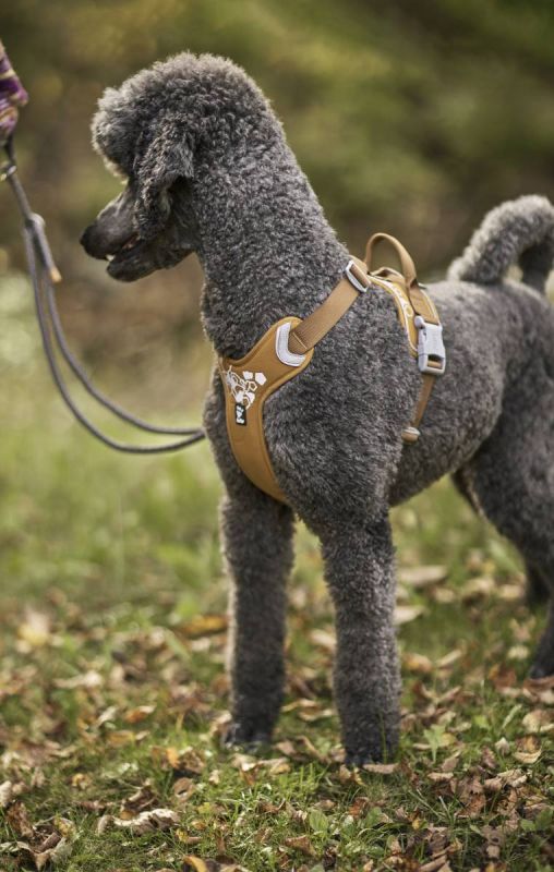 Шлейка для собак пом'якшена Hurtta Weekend Warrior 40-45 см Бежевий