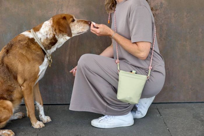 Сумка для ласощів і аксесуарів собак Palopa Karl M Хакі