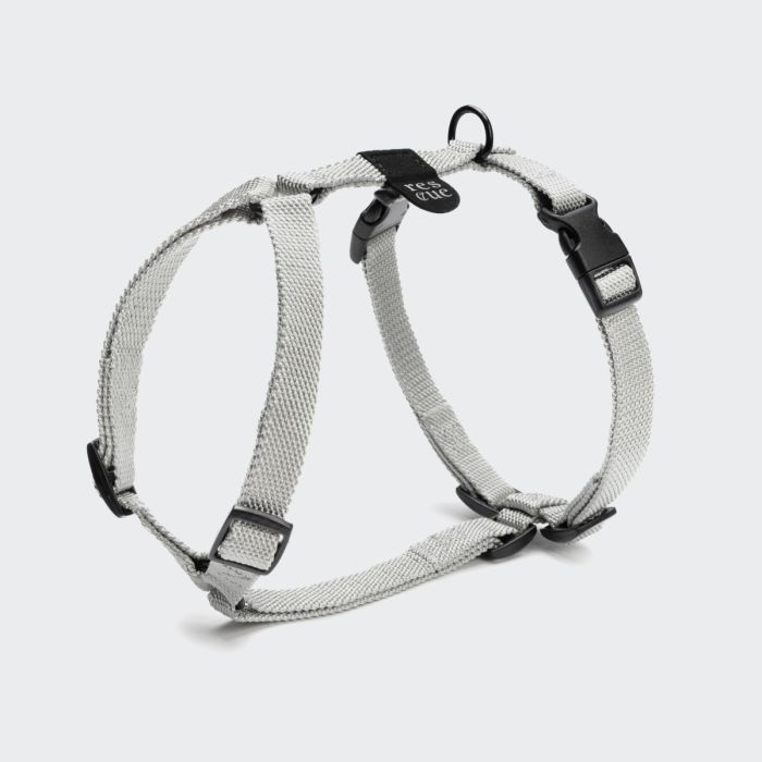 Повсякденна шлейка для собак Cloud7 Rescue Basic Harness Сріблястий XXS