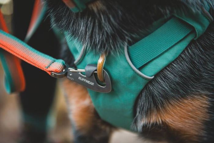 Повсякденний повідець для собак Ruffwear Front Range™ Оранжево-сірий