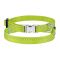 Нашийник ACTIVE для собак дрібних порід нейлоновий зі світловідображенням 10мм 18-28см Салатовий 