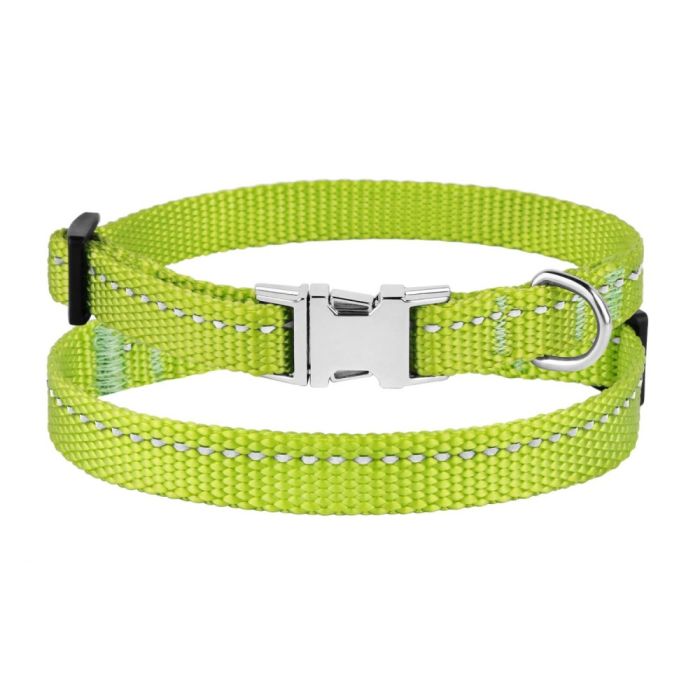 Нашийник ACTIVE для собак дрібних порід нейлоновий зі світловідображенням 10мм 18-28см Салатовий 