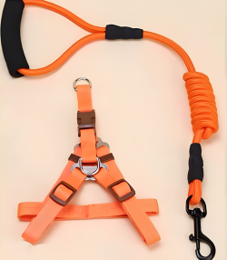 Шлея та повідець для собак, круглий шнур з пінною ручкою, шлея 1,530-50 см, повідець 120 см помаранчевий