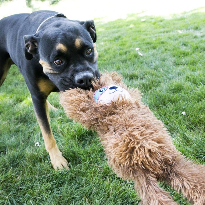 Іграшка для собак Kong Tuggz Sloth XL