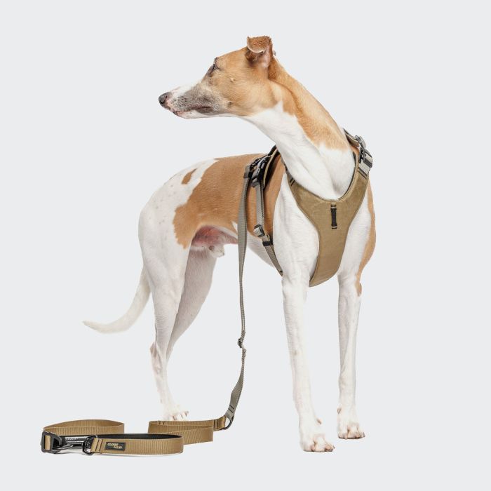 Повідець вільні руки для собак Cloud7 L-1- Hands-Free-Leash AKTIV Сірий L