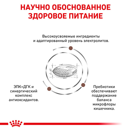 Royal Canin Gastro Intestinal Dog (Роял Канін Гастро інтестінал) 2 кг