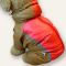 Рута комбінезон зимовий для собак дівчаток dog Love червоний S