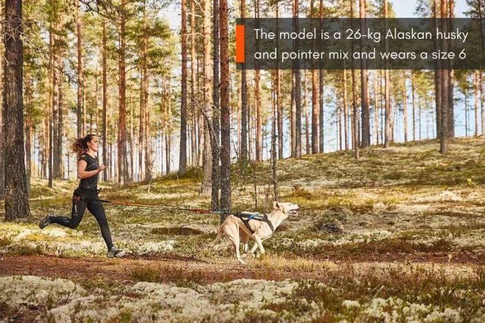 Шлейка для собак Freemotion harness Non-stop dogwear Чорний 1