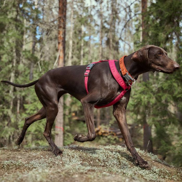 Нашийник для собак Hurtta Casual ECO 20-30 Коричневий