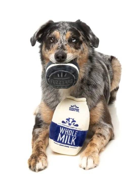 Набір м'яких іграшок для собак FuzzYard Молоко з печивом