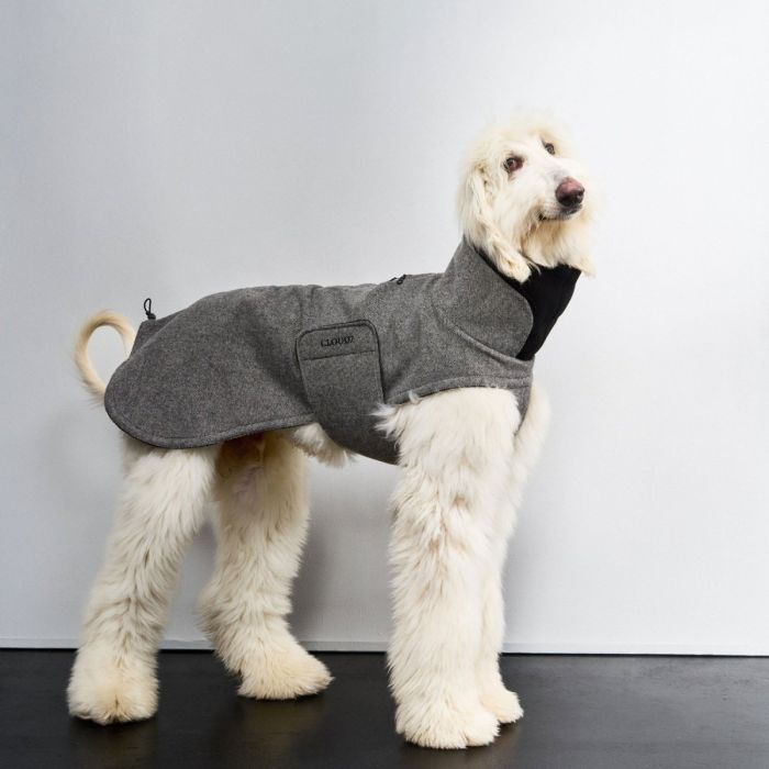 Утеплена куртка для грейхаундів та інших хортів Cloud7 Brooklyn Long Greyhound Чорний 10