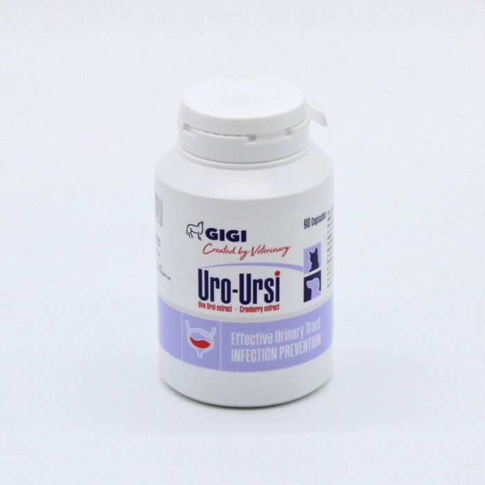 Gigi Уро-Урсі 90 таблеток