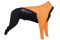 Комбінезон для собак чоловічої статі Non-stop dogwear Protector dog suit M Помаранчевий 27