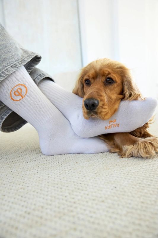 Шкарпетки для власників собак Palopa Tennis Socks Logo Помаранчевий/Блакитний/Сірий 3 пари 40-45