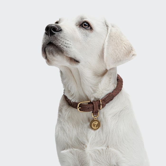 Нашийник для собак Cloud7 Ravello Коричневий S