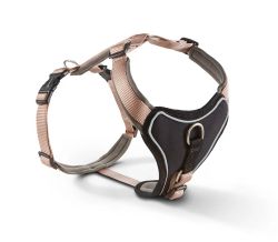 Шлейка для собак пом'якшена Wolters Professional Comfort 1 35-40 см / 2,5 см Шампань