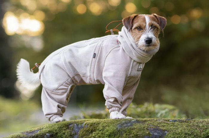 Комбінезон для собак Non-stop dogwear Trail quest fleece overall Бежевий 27