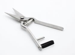 Ножиці для обрізки копит вівці. 